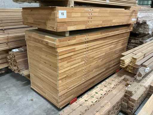 RF 60 Schildersdeur (25x)