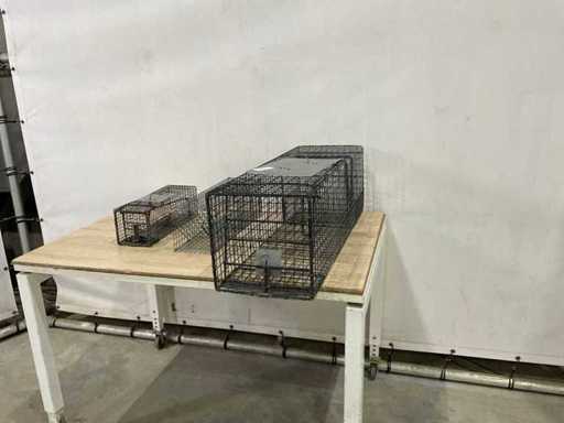 Gabbia di cattura (3 volte)