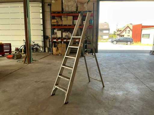 Solide Pt6 Trapladder