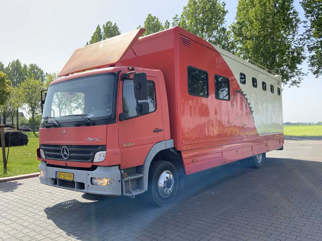 2005 Mercedes-benz Atego 1223 Camion pentru cai