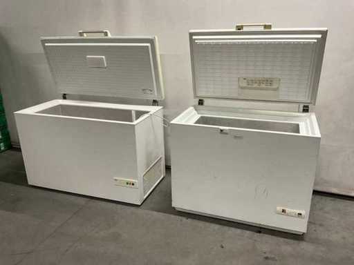 chest freezers (2x)