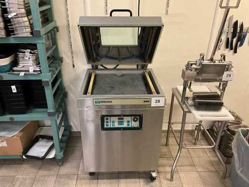 Machine à vide Henkelman 300 2003