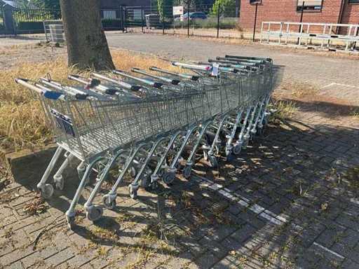 Wagen (12x)