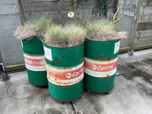 Pflanzer (4x)