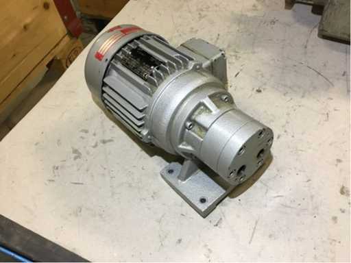 Electric motor with grease pump (PL/A/24)