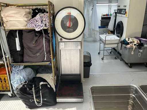 1975 Berkel 75 Libra