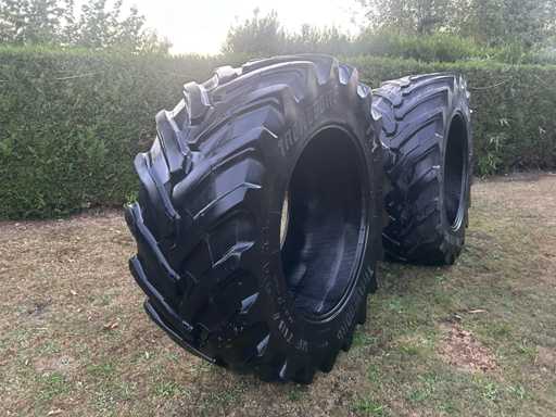 Trelleborg TM1060 2 Pneumatici per trattori