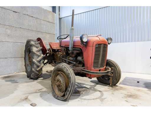 Massey Ferguson - - Vintage Tractor