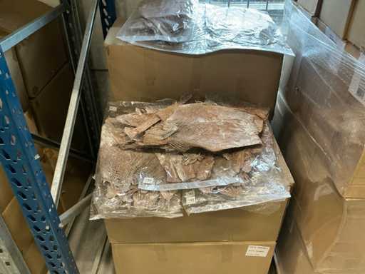 Partij palm bakla (172x)