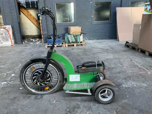 E-Roller Swingtrike