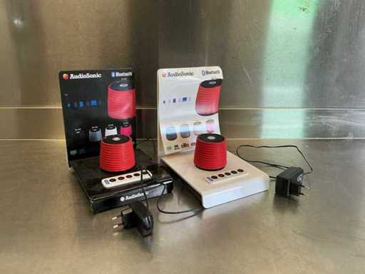 Meuble de haut-parleur portable Bluetooth AudioSonic SK-1524 (2x)