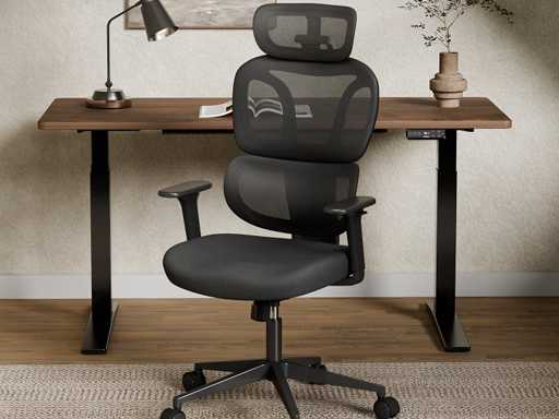 Kleurrijke ergonomische stoel met Cloud Comfort kussen