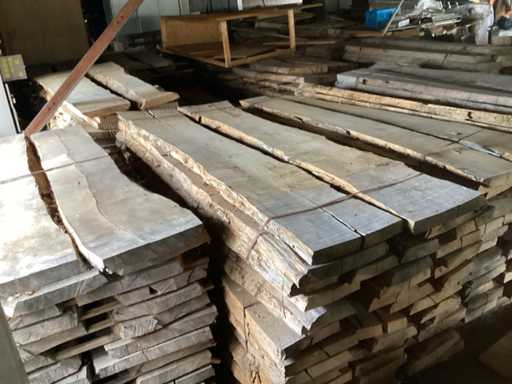Batch of KD overdried stone beech logs (558x)