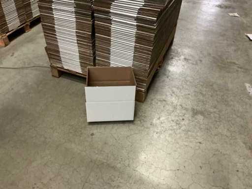 Raja CAD205E Envelop (1400x)
