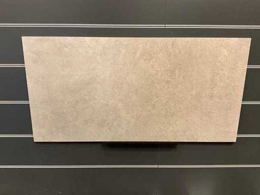 Ascot - 60 x 120 cm - 7m2 Plăci de podea