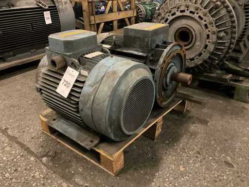 Motor electric (2x)