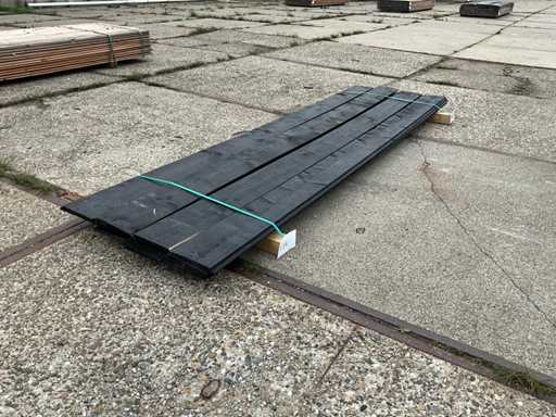 Molid suedez Rabat (13x)