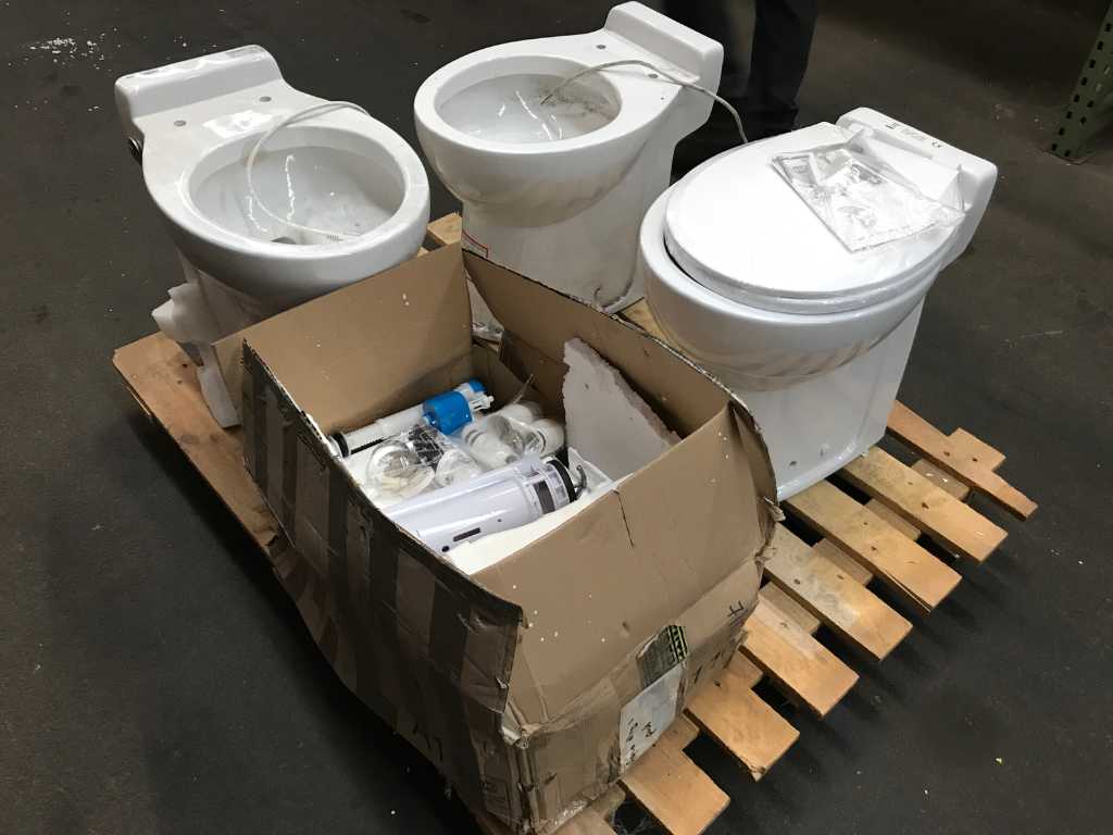 Vase de toaletă echipate cu pompă de rectificat