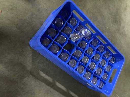 Nesttea - Icetea glass (32x)