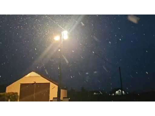 VID-20251124-WA0033.mp4