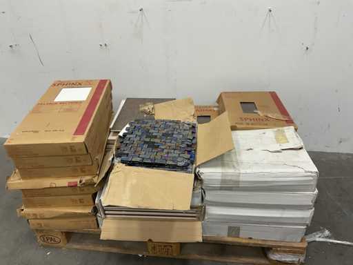 Lot de pl?ci de perete Sphinx