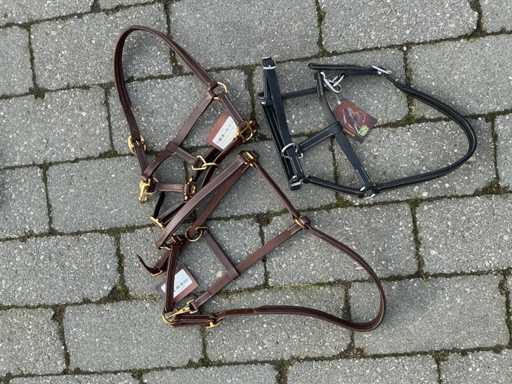 Bridle horses (3x)