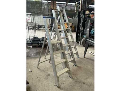 Échelle en aluminium massif pour divers débris (3x)