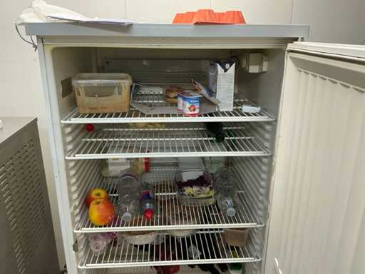 Réfrigérateur Liebherr FKS 5000-1