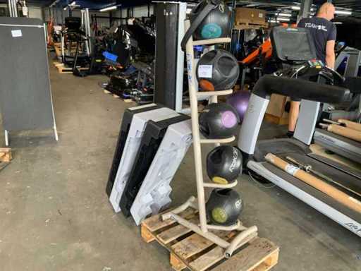 onbekend medicine ball met rek 5x ball Krachtstation