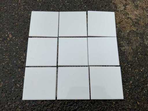 Mozaiek Holland - 30x30cm - 11m2 - Wandtegels