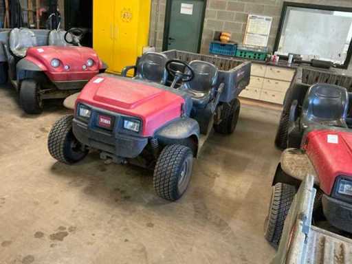 TORO Workman MDX-D Multifunctioneel transportvoertuig