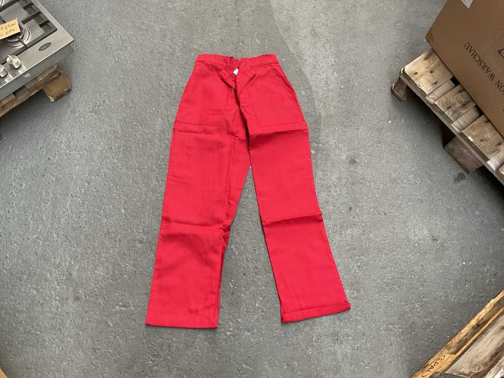 Pantalon de travail Pangoline (37x)