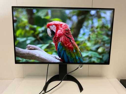 Eizo (EV3285) 32”, 3840x2160 (UHD) IPS Monitor
