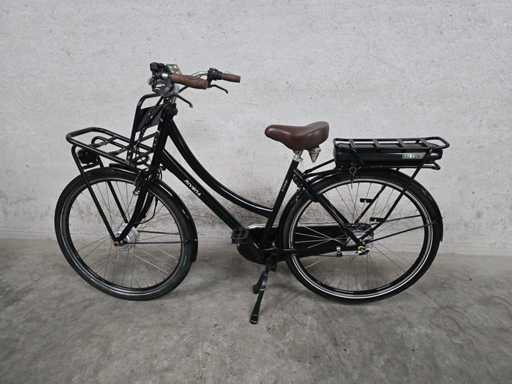 Rivena - E-Cargo - Bicicletta elettrica