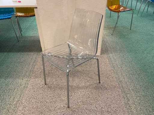 Presidente della riunione Papatya X-Treme (37 volte)