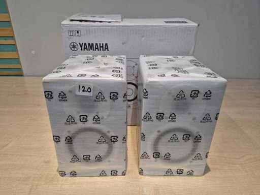 Altoparlanti Yamaha (2x)