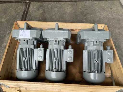 Bauer Electric motor with gearbox (3x)