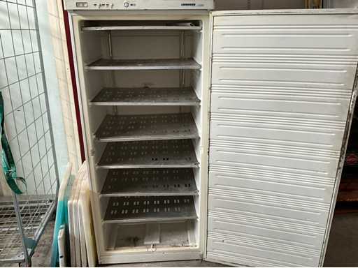 Liebherr - GS5203 - Freezer