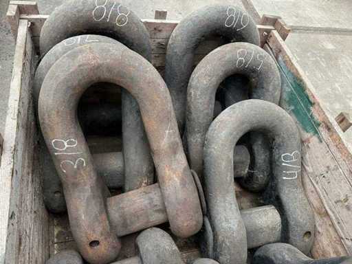 Anchor D-shackle (8x)