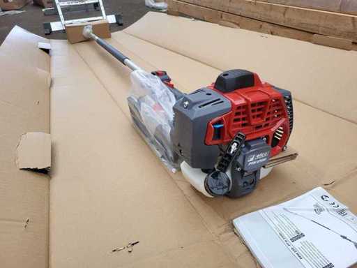 EFCO - PTH2500 - Sierra de rama (10x)