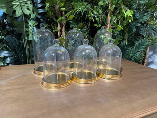 Glazen Stolp met Aluminium bodem (6x)