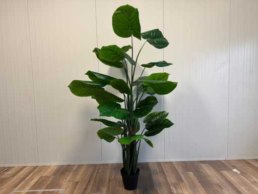 Sztuczna roślina Real touch Philodendron (wysokość 210 cm)