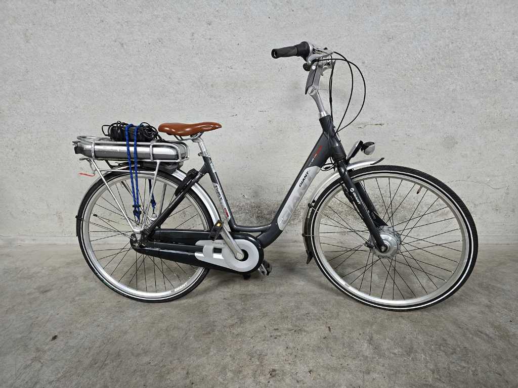 Giant - Twist - Elektrische fiets