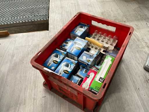 Phillips Light Bulbs (20x)