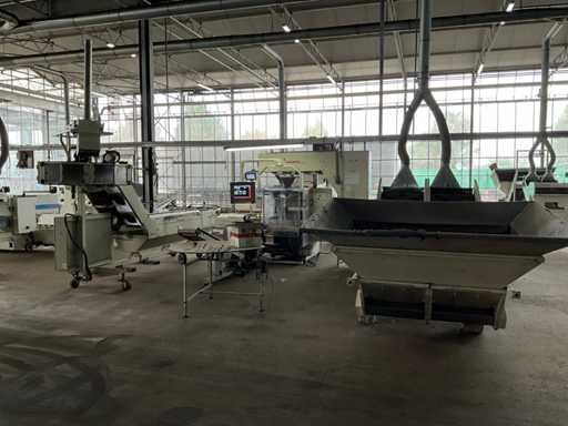 2004 Cremer CPT 300 Ligne d’emballage de bulbes à fleurs