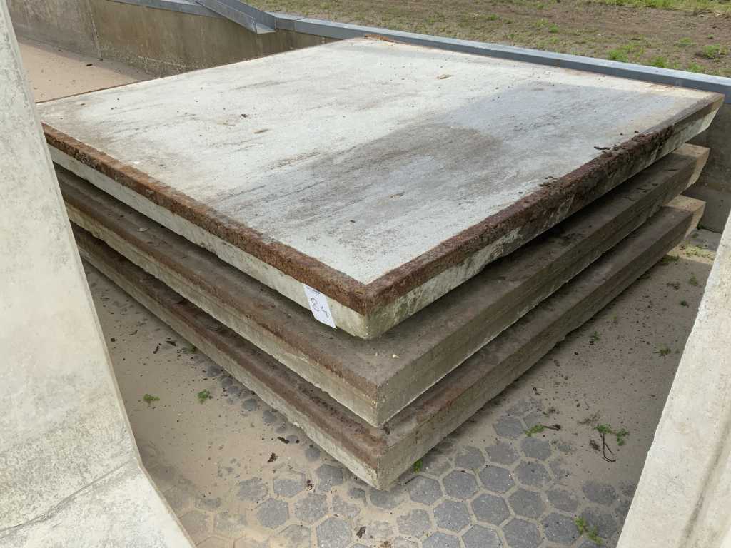 Placă de beton (3x)