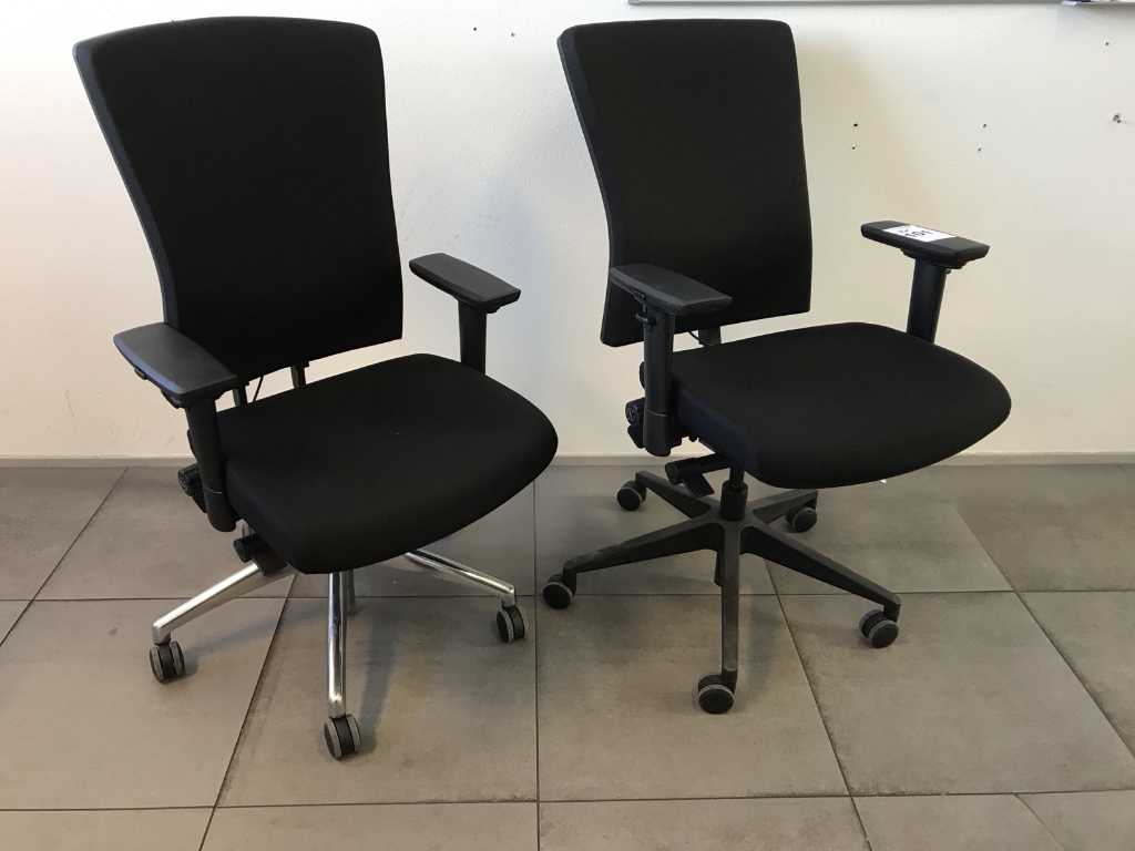 Schaffenburg Office Chair (2x)