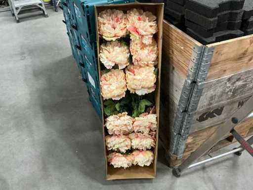 Pionia pojedyncza pączka 71 cm różowa (12x)