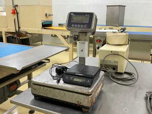 Skala Digi DS-167
