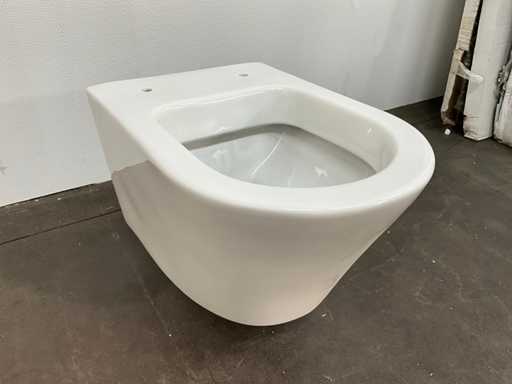 Toalet? de perete Sanindusa